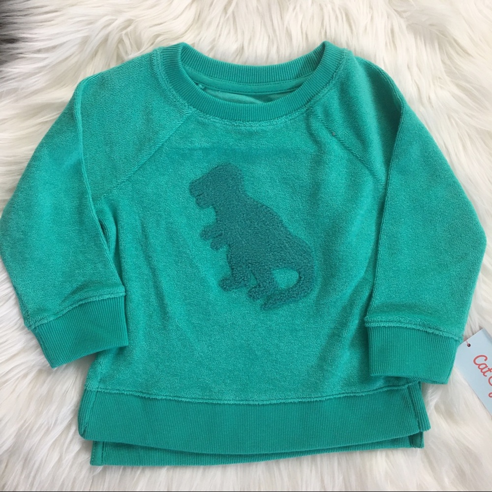 NWT Dinosaur Sweater